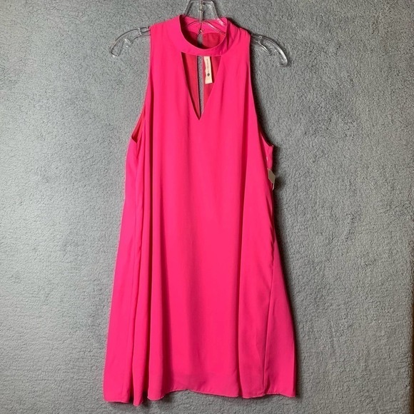 Impeccable Pig Shift Dress Large NWT Hot Pink Barbiecore Lined V-Neck‎ Flowy - Picture 1 of 8